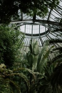 mieke campbell JSwqRRX G Q unsplash